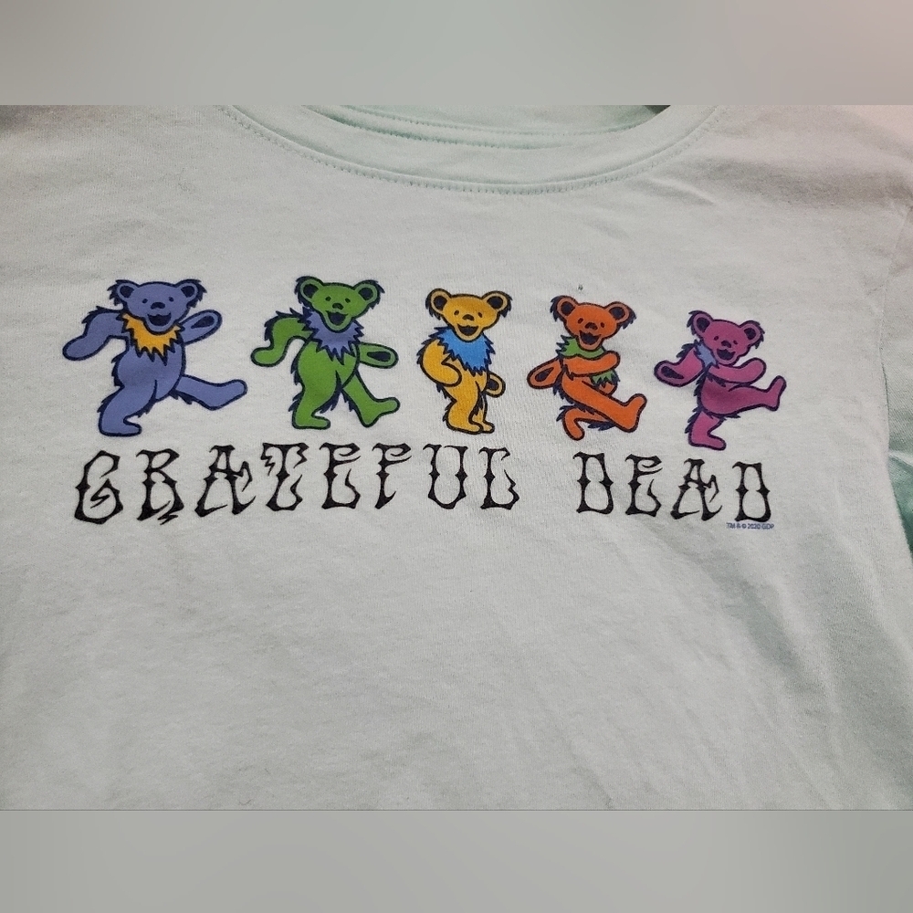 Gap x Grateful Dead Jerry Bears Long Sleeve Tee – Mint Green – Youth Size 10